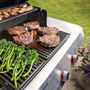 Genesis E-315 Gas Grill (Liquid Propane) view 3