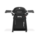 Q 2800N+ Gas Grill with Stand (Liquid Propane) view 1