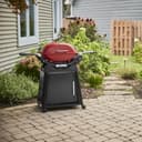 Q 2800N+ Gas Grill with Stand (Liquid Propane) view 5