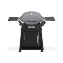 Q 2800N+ Gas Grill with Stand (Liquid Propane) view 1