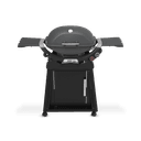 Q 2800N+ Gas Grill with Stand (Liquid Propane) view 1