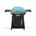 Q 2800N+ Gas Grill with Stand (Liquid Propane) view 1