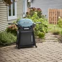 Q 2800N+ Gas Grill with Stand (Liquid Propane) view 5
