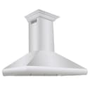 48" Professional Convertible Vent Wall Mount Range Hood with Crown Molding - 48 Inch view 1