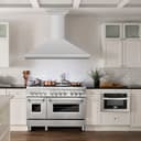 48" Professional Convertible Vent Wall Mount Range Hood with Crown Molding - 48 Inch view 2