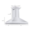 48" Professional Convertible Vent Wall Mount Range Hood with Crown Molding - 48 Inch view 9
