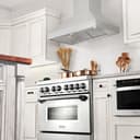 Professional Convertible Vent Wall Mount Range Hood (597) - 30 inch view 2