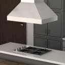 ZLINE 36 in. Ducted Island Mount Range Hood in Outdoor Approved Stainless Steel (597i-304-36) view 2