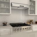 30" Ducted Under Cabinet Range Hood view 2
