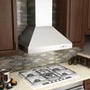Professional Ducted Wall Mount Range Hood (667) - 30 Inch view 2