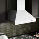 Professional Ducted Wall Mount Range Hood (667) - 30 Inch view 11