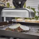 Basting Dome view 2