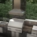 Ducted Wall Mount Range Hood in Outdoor Approved (697-304) - 42 Inch view 7
