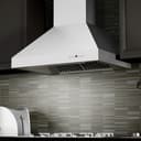 Ducted Wall Mount Range Hood in Outdoor Approved (697-304) - 48 Inch view 9