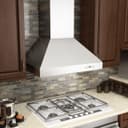 Professional Convertible Vent Wall Mount Range Hood (697) - 42 inch view 9