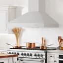 Professional Convertible Vent Wall Mount Range Hood (697) - 48 inch view 2