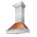 30"Ducted Fingerprint Resistant Stainless Steel Range Hood with Copper Shell view 1
