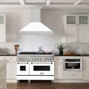 48"Fingerprint Resistant Stainless Steel Range Hood with White Matte Shell view 2
