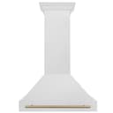 Autograph Edition 36 In. Satin Stainless Steel Wall Mount Range Hood With Champagne Bronze Handle view 4