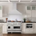 48"Stainless Steel Range Hood with Stainless Steel Handle view 2