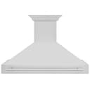 48"Stainless Steel Range Hood with Stainless Steel Handle view 4