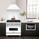 36" Stainless Steel Range Hood Stainless Steel Handle (8654STX-36) Matte view 2