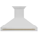 48"Autograph Edition Stainless Steel Range Hood with Stainless Steel Shell and Champagne Bronze Handle view 4