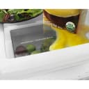 29-inch Wide Bottom-Freezer Refrigerator with EasyFreezer™ Pull-Out Drawer -- 18 cu. ft. Capacity view 14