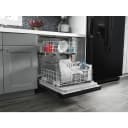 Dishwasher with Triple Filter Wash System view 16