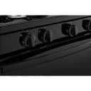 30-inch Gas Range with Easy-Clean Glass Door view 15