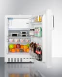 20" Wide Built-in Refrigerator-Freezer, ADA Compliant view 15