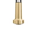 Autograph Edition Apollo Pull Down Spring Single Handle Kitchen Faucet In Brushed Nickel And Champagne Bronze view 6