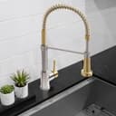 Autograph Edition Apollo Pull Down Spring Single Handle Kitchen Faucet In Brushed Nickel And Champagne Bronze view 9