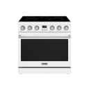 36 Inch Electric Range In White Contemporary Professional view 1