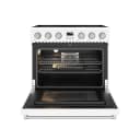 36 Inch Electric Range In White Contemporary Professional view 2
