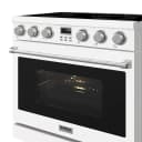 36 Inch Electric Range In White Contemporary Professional view 7