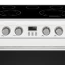 36 Inch Electric Range In White Contemporary Professional view 8