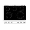 36 Inch Electric Range In White Contemporary Professional view 10