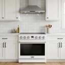 36 Inch Electric Range In White Contemporary Professional view 12