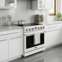 36 Inch Electric Range In White Contemporary Professional view 13