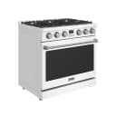 36 Inch Gas Range In White Contemporary Professional view 3