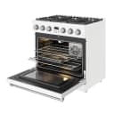 36 Inch Gas Range In White Contemporary Professional view 6