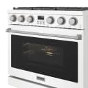 36 Inch Gas Range In White Contemporary Professional view 7