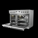 48-inch Liquid Propane Range Contemporary Professional view 4