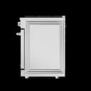 48-inch Liquid Propane Range Contemporary Professional view 9