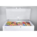 16 Cu. Ft. Chest Freezer with Up-Front Temperature Control System view 5