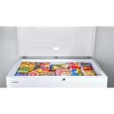16 Cu. Ft. Chest Freezer with Up-Front Temperature Control System view 10