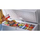 16 Cu. Ft. Chest Freezer with Up-Front Temperature Control System view 16