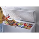 16 Cu. Ft. Chest Freezer with Up-Front Temperature Control System view 12