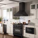 30"Black Stainless Steel Range Hood with Black Stainless Steel Handle view 9
